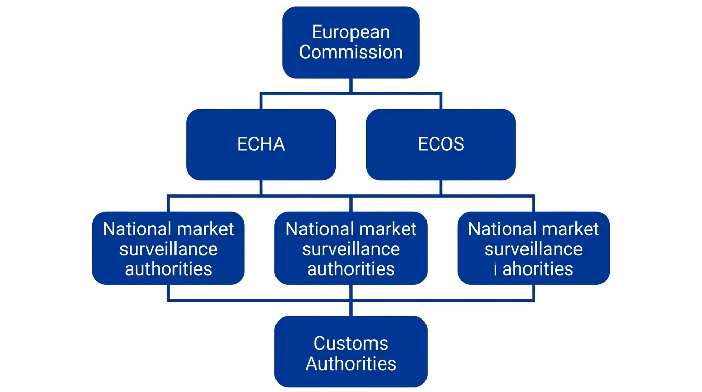 EU Regulatory Bodies